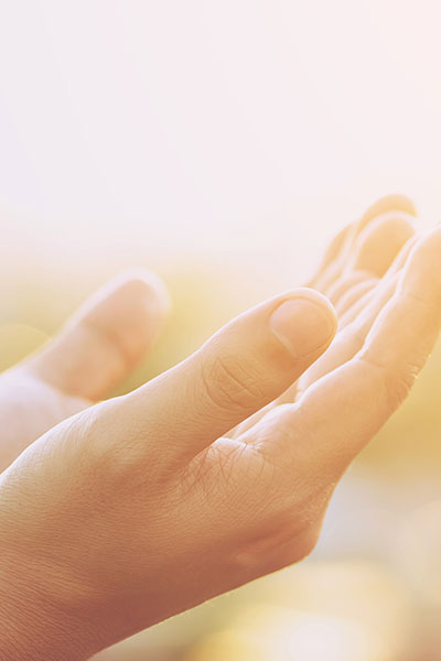Hands Praying Hands Praying